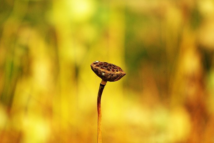 读懂了这段话让你受益终生,听懂这10句话受益一生