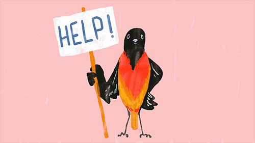 世界上最简单的脑筋急转弯8-10岁,世界上100个特别难的脑筋急转弯