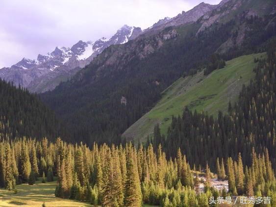 乌孙古道徒步注意事项和技巧,乌孙古道徒步穿什么衣服八月