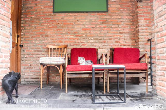 格鲁吉亚自由行全攻略,自驾去格鲁吉亚路线