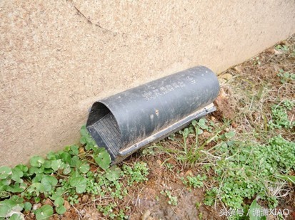 家里有虫鼠出没怎么办，告诉大家几个小妙招