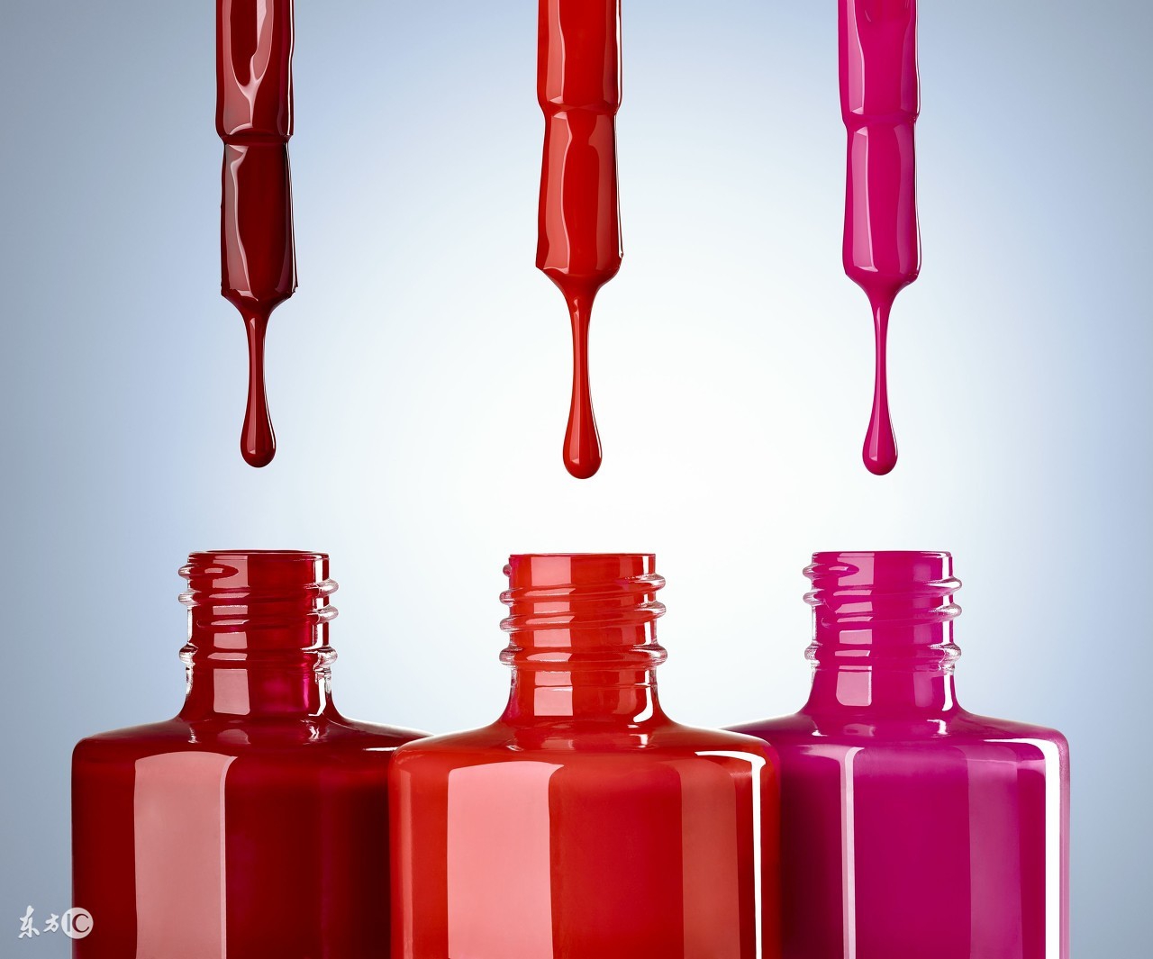 鱼和熊掌不可兼得丑和穷,鱼和熊掌不可兼得玫瑰