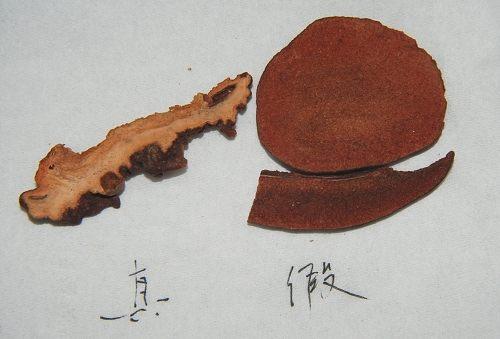 造假最多的十个中药材,名贵中药材造假的有哪些