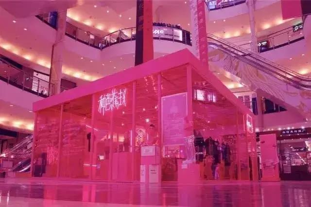 万万没想到，今年大连最火的竟是烤地瓜