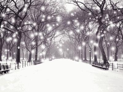 100至200元好用好粉饼,什么粉饼平民价又好用