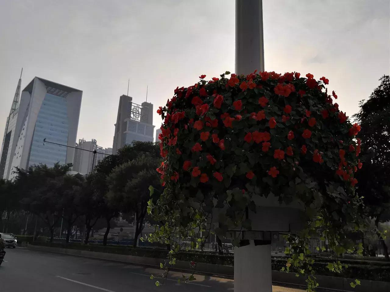 小白测评华为mate10续航排名,华为mate10和三星s9测评