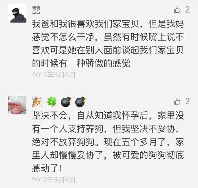 为什么家长不让孩子养宠物,宠物爸妈不让养怎么办