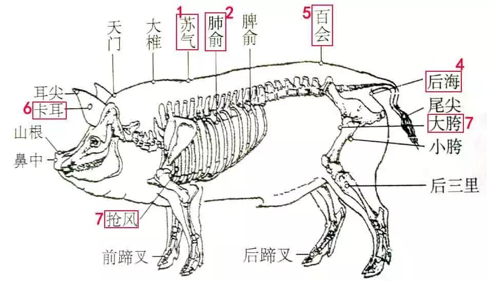 穴位治病大全20招,穴位疗法十大手法