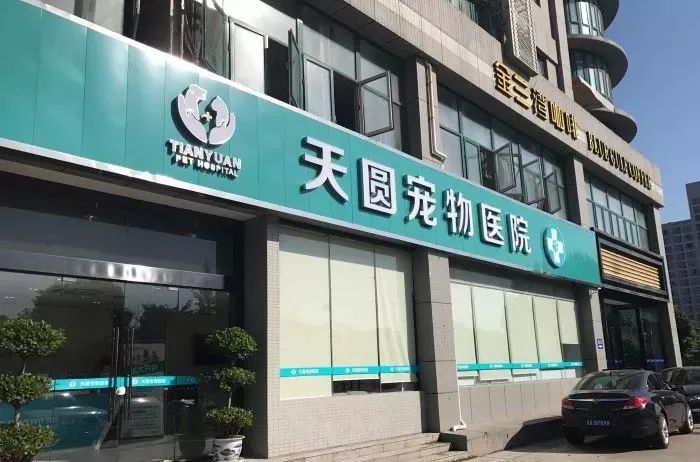 铲屎官宠物诊所,铲屎官宠物医院优惠