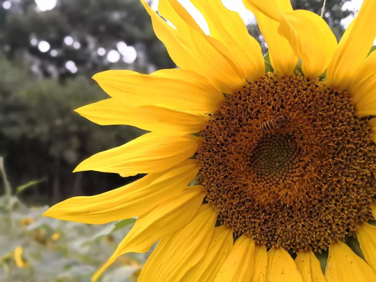 小白测评华为mate10续航排名,华为mate10和三星s9测评