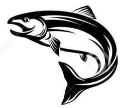 二步搞定的香煎大白鲳鱼,煎鲳鱼最正宗的做法