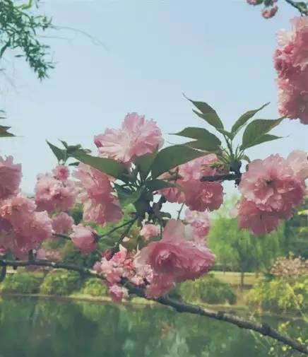 2018年浙江地方景点旅游日历大合集!含杭州,建德,温州,金华!