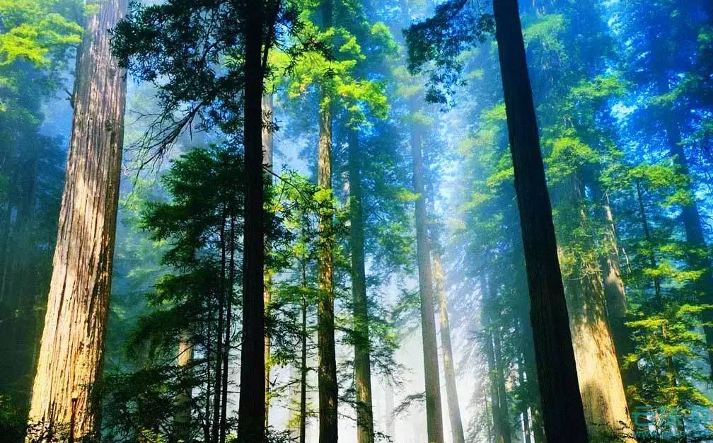 2018年浙江地方景点旅游日历大合集！含杭州，建德，温州，金华！