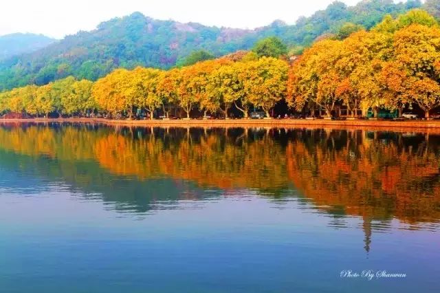 2018年浙江地方景点旅游日历大合集！含杭州，建德，温州，金华！