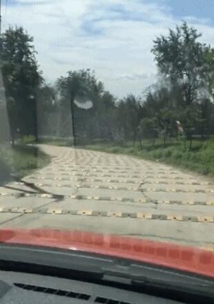 粗心妻子,粗心大意老婆