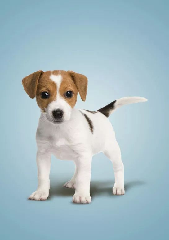 剪映专业版蒙版两张图片怎么融合,蒙版两张上下图片怎么融合