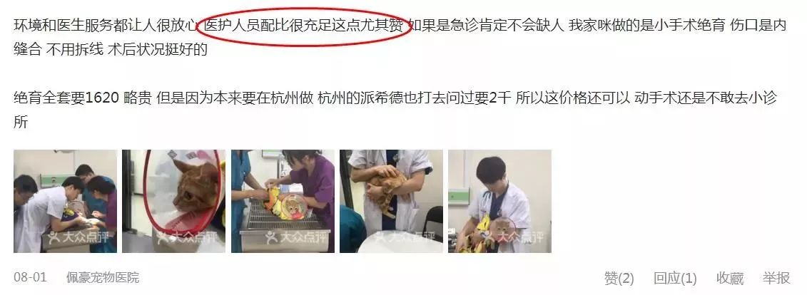 铲屎官宠物诊所,铲屎官宠物医院优惠