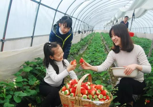 2018年浙江地方景点旅游日历大合集！含杭州，建德，温州，金华！