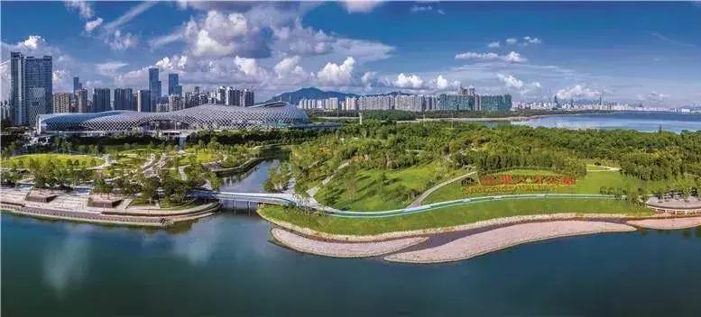 深圳人才集团实习生招聘丨国家教育部在深唯一授权的学历认证机构