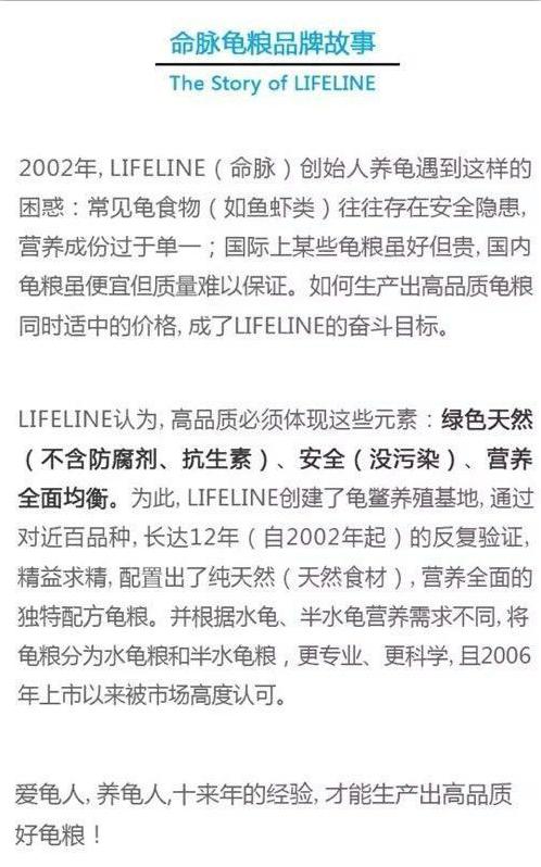 黄缘龟喜欢你的表现,喜欢黄缘龟