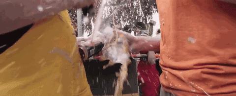 双鹿干为什么叫温州拉菲,温州双鹿干啤酒