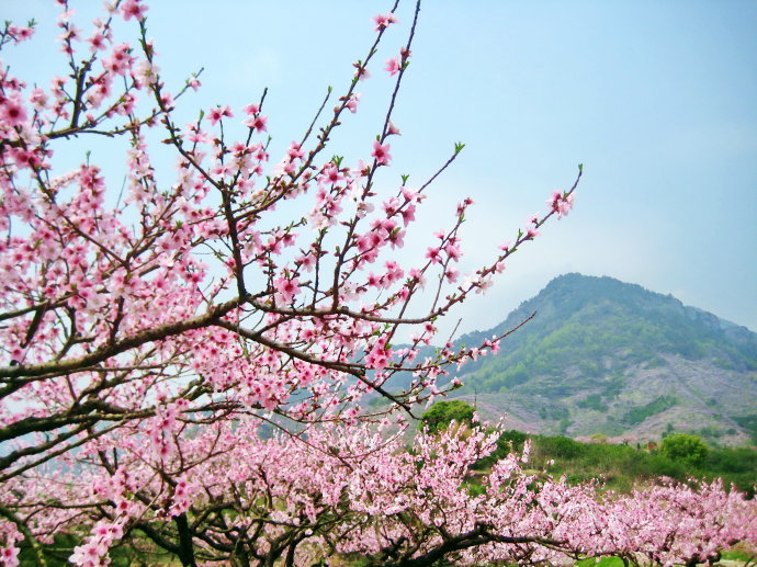 2018年浙江地方景点旅游日历大合集!含杭州,建德,温州,金华!