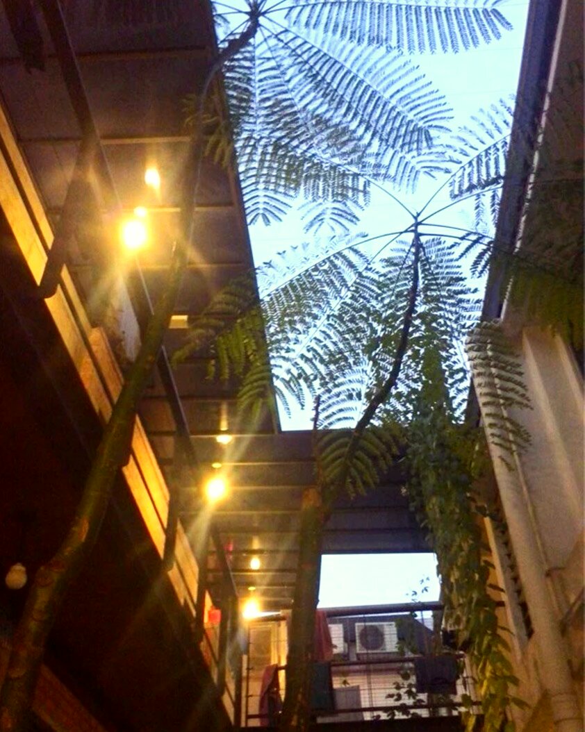 白本护照如何走遍全世界,护照白本推荐国家