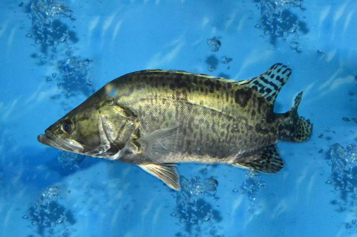 广东佛山原生态休闲酒店,佛山品质酒店