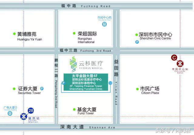 「云栖杉径」“医疗艺术治疗”当代艺术