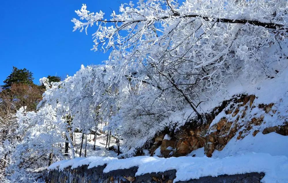 2018年浙江地方景点旅游日历大合集!含杭州,建德,温州,金华!