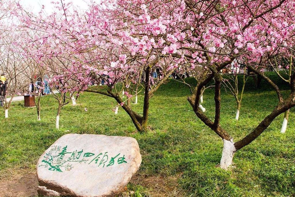 2018年浙江地方景点旅游日历大合集！含杭州，建德，温州，金华！