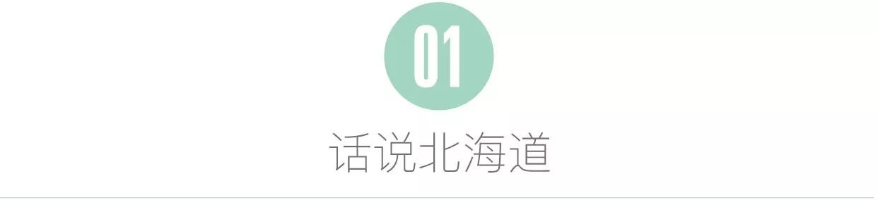 日本北海道好吃的零食品牌,北海道代表美食