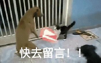 Keytruda联合化疗一线治疗非小细胞肺癌3期临床试验达主要终点