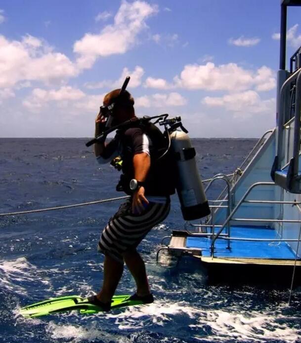 海参也有很多种,全世界所有可以吃的海参