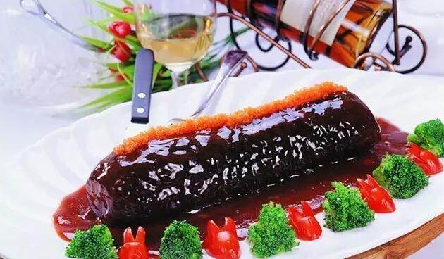 带您了解世界海参,你知道全球有多少种鲨鱼吗