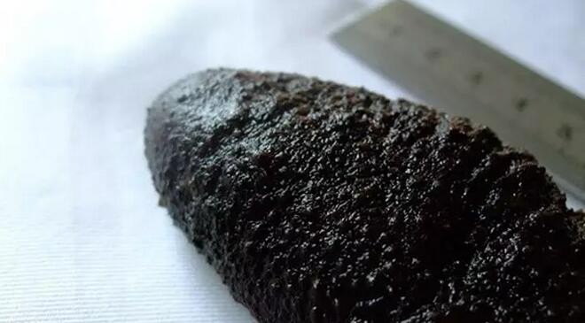 带您了解世界海参,你知道全球有多少种鲨鱼吗