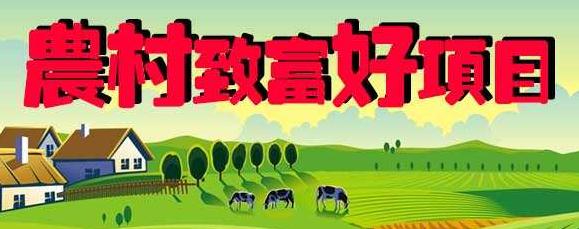 致富经农民种佛手,佛手种植致富的路子