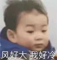 建材直采团,武汉直采