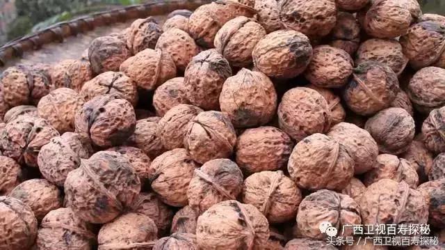 戴帽子导致的秃头会恢复吗,戴帽子秃头几率大