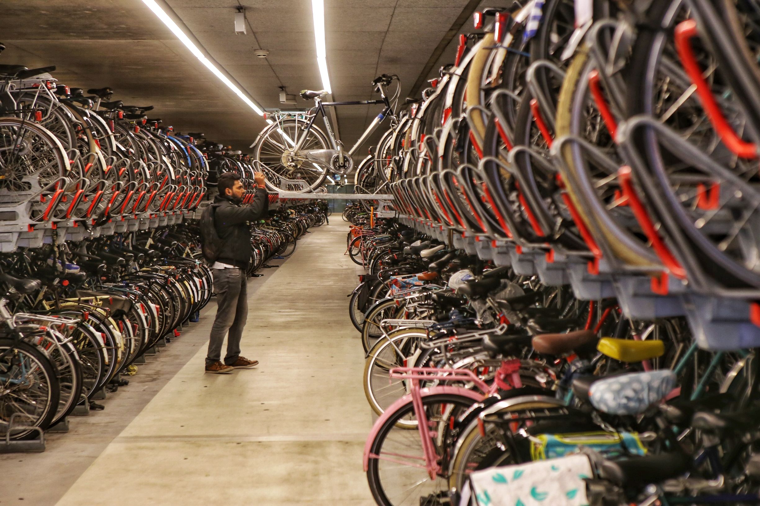 共享单车和德国自行车 (中国自行车与外国自行车哪个好骑)