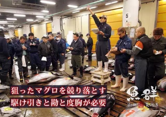 日本的海鲜市场现在最新情况,日本青森海鲜市场