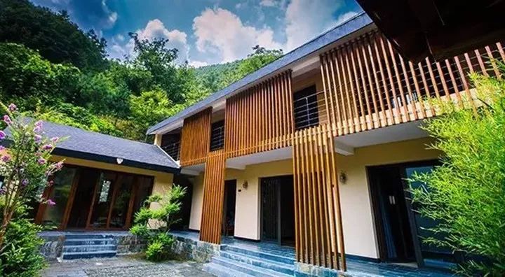 报告老板有几季,报告老板从哪里火的