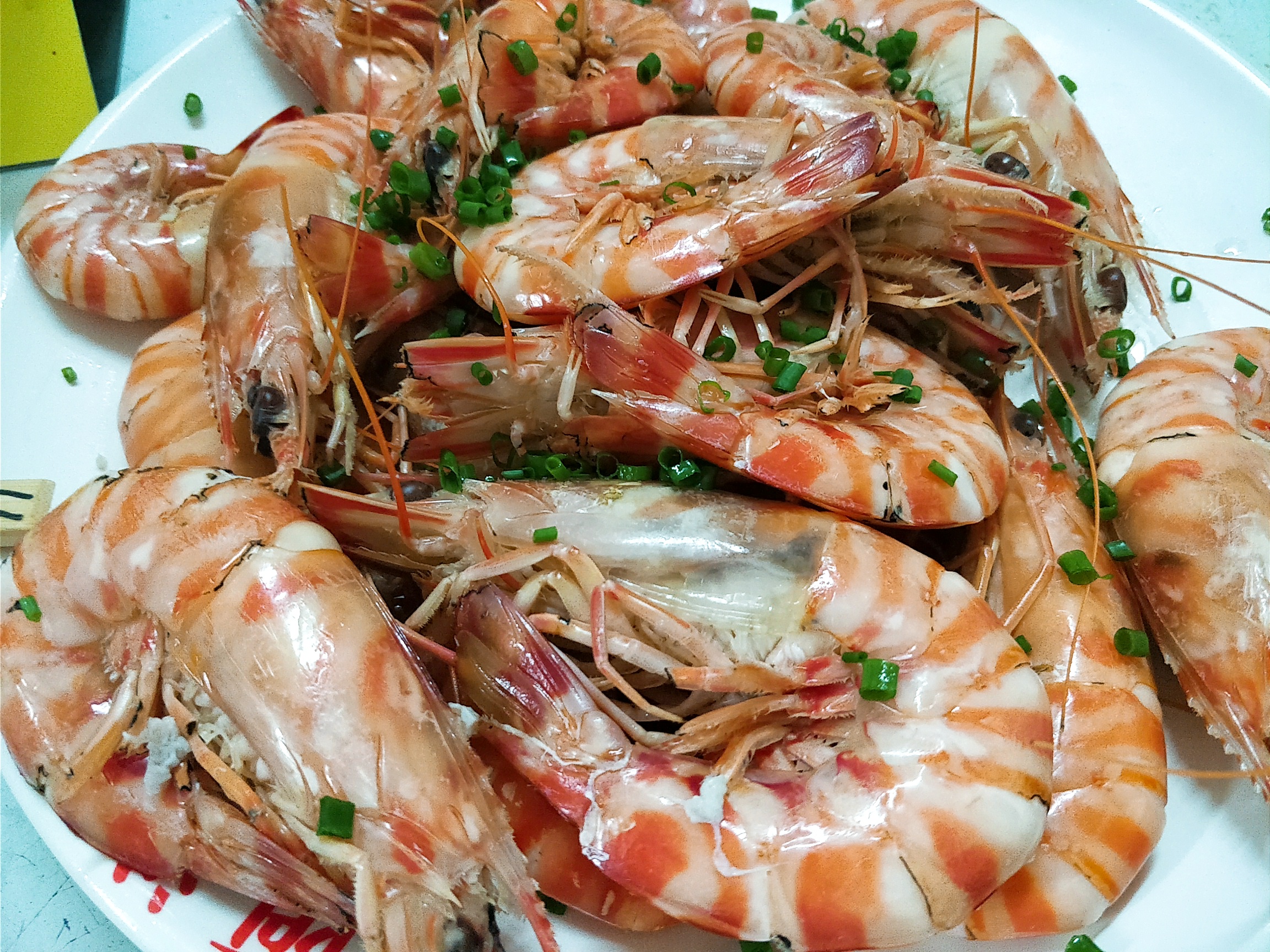 三亚体验网红帆船,三亚帆船海钓体验记