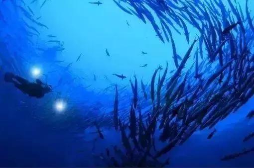 前任3美娜多,带着前任看前任3为什么都复合了