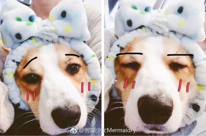 q版婚礼logo头像设计,插画头像手绘婚礼