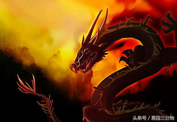 生肖龙人生于巳时的命运,十二生肖生月论命之属猪