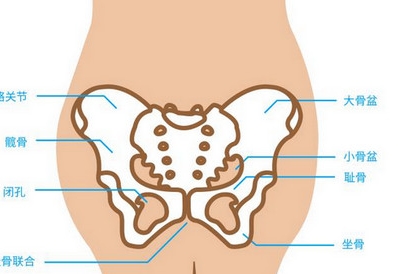 孕晚期耻骨疼痛难忍一招帮你缓解,孕37周耻骨疼走路都困难如何缓解