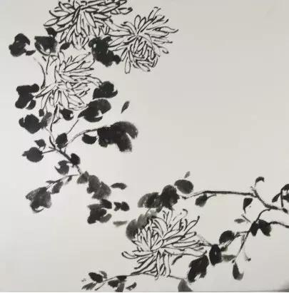 张世简菊花画法视频,菊花画法张正海