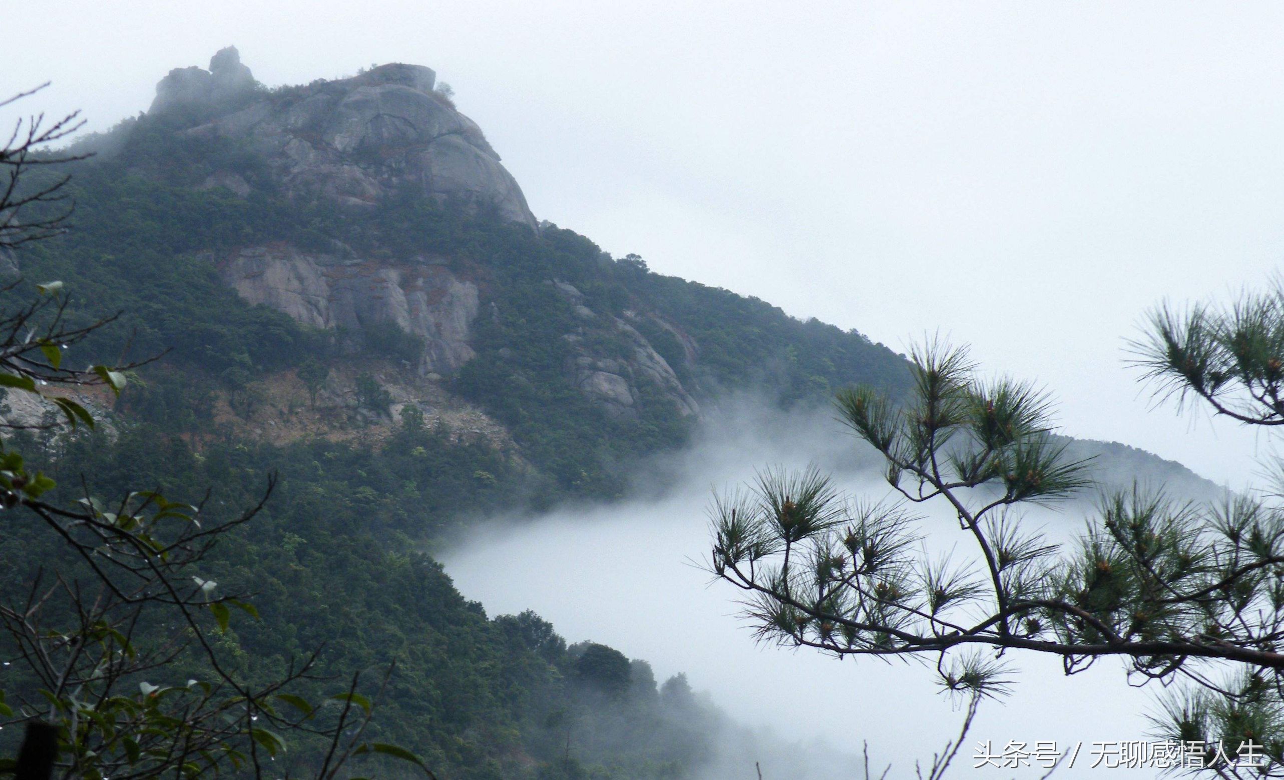 四川省绵阳市安州区雍峙寺,四川省绵阳市安州区房价