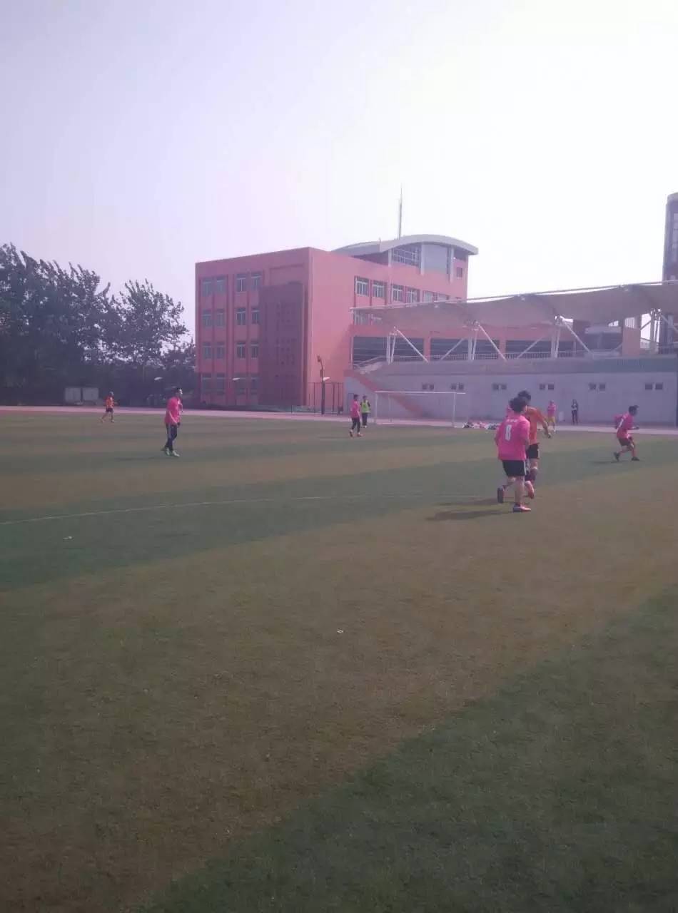 足球新赛季战报,新赛季战报